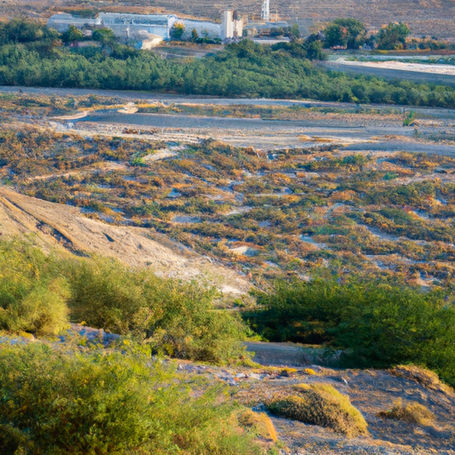 תצפית פנורמית על הצמחייה השופעת של קיבוץ חקוק, בניגוד לנוף המדברי שמסביב.